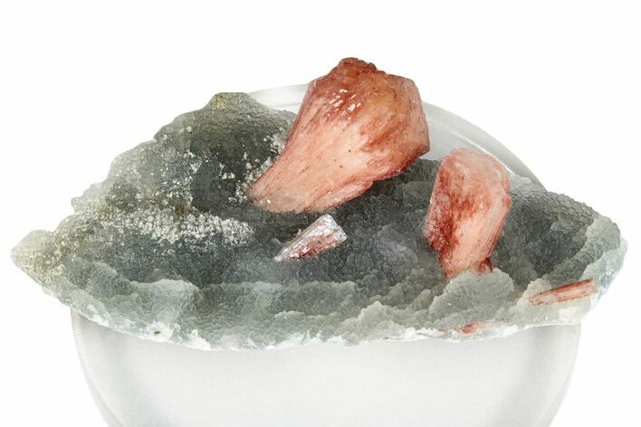 Red-Orange Stilbite Crystals on Chalcedony - India #259407